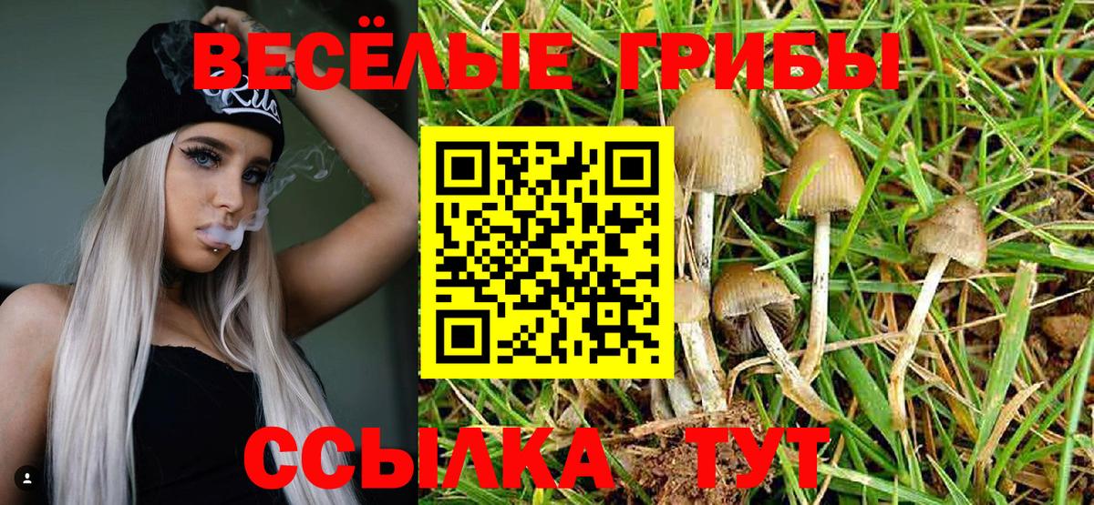 Сальск  закладка  Вход с VPN  Псилоцибиновые грибы ЛСД 