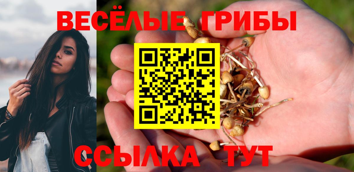 Галлюциногенные грибы мицелий Сальск